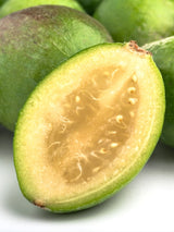 Brasilianische Guave