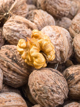 Juglans regia 'Jupiter', Walnuss 'Jupiter' im Onlineshop der Bohlken Baumschulen