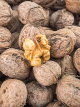 Juglans regia 'Mars', Walnuss 'Mars' im Onlineshop der Bohlken Baumschulen