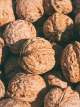 Juglans regia 'Seifersdorfer Runde', Walnuss 'Seifersdorfer Runde' im Onlineshop der Bohlken Baumschulen