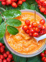 Sorbus aucuparia 'Konzentra', Essbare Vogelbeere, Eberesche 'Konzentra' im Onlineshop der Bohlken Baumschulen