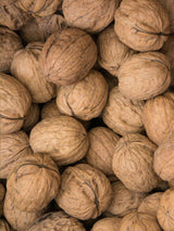 Artikelbild für Echte Walnuss Juglans regia im Onlineshop der Bohlken Baumschulen