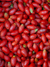 Gojibeere, Bocksdorn, Lycium barbarum 'Sweet Lifeberry' ® kaufen im Online-Shop der Bohlken Baumschulen