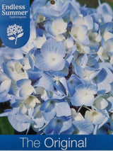 Bild von Bauernhortensie 'Endless Summer'® The Original blau im Onlineshop von Bohlken Pflanzenversand GbR