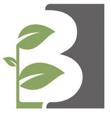 Bild von Schmetterlingsflieder, Sommerflieder Free Petite ® 'Snow White' im Onlineshop von Bohlken Pflanzenversand GbR