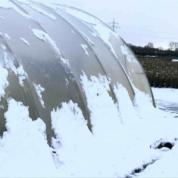 Jetzt lesen: Winterschutz fr Heckenpflanzen  Bohlken Pflanzenversand GbR