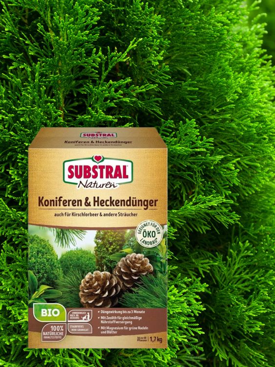 Bild von Substral ® - Naturen Bio Koniferen- & Heckendünger im Onlineshop von Bohlken Pflanzenversand GbR
