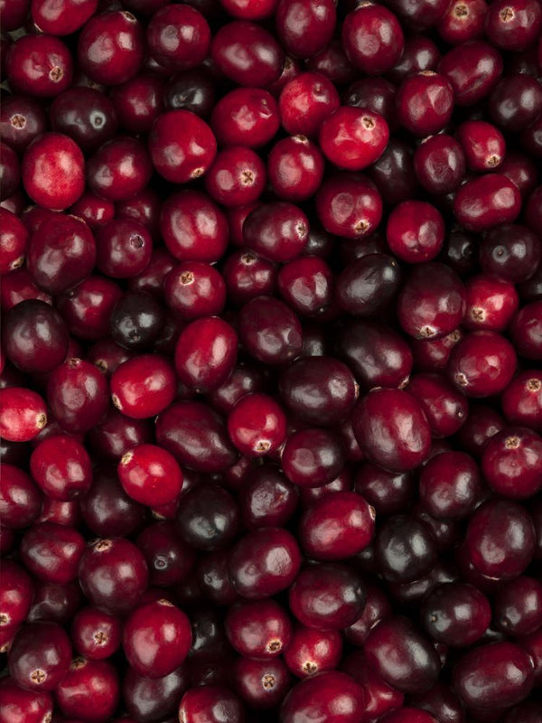 Großfrüchtige Moosbeere 'Cranberry', Vaccinium macrocarpon 'Cranberry' kaufen im Online-Shop der Bohlken Baumschulen
