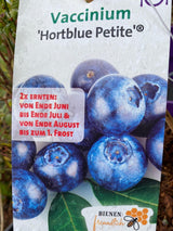Bild von Heidelbeere 'Hortblue Petite' ® im Onlineshop von Bohlken Pflanzenversand GbR