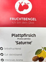 Artikelbild Tellerpfirsich 'Saturne' im Online-Shop der Bohlken Baumschulen